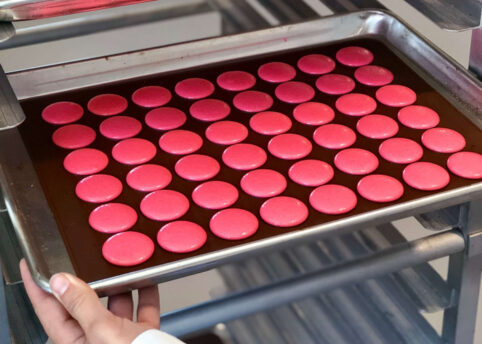 Pink macarons on sheet tray ready to bake